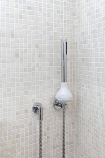 Picture of ShowerPro